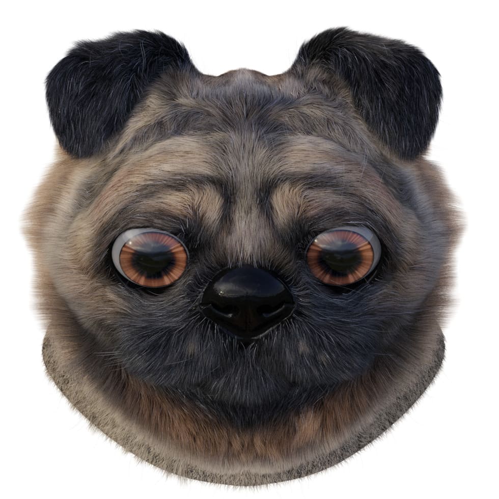 pug